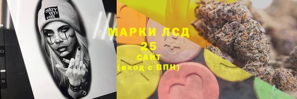 a pvp Новозыбков
