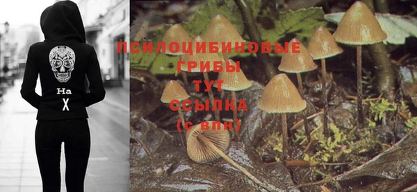соль ск Осинники