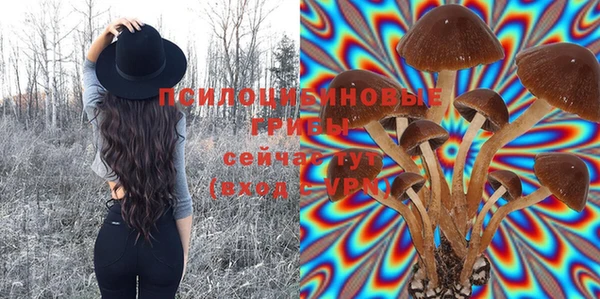 меф Дмитровск